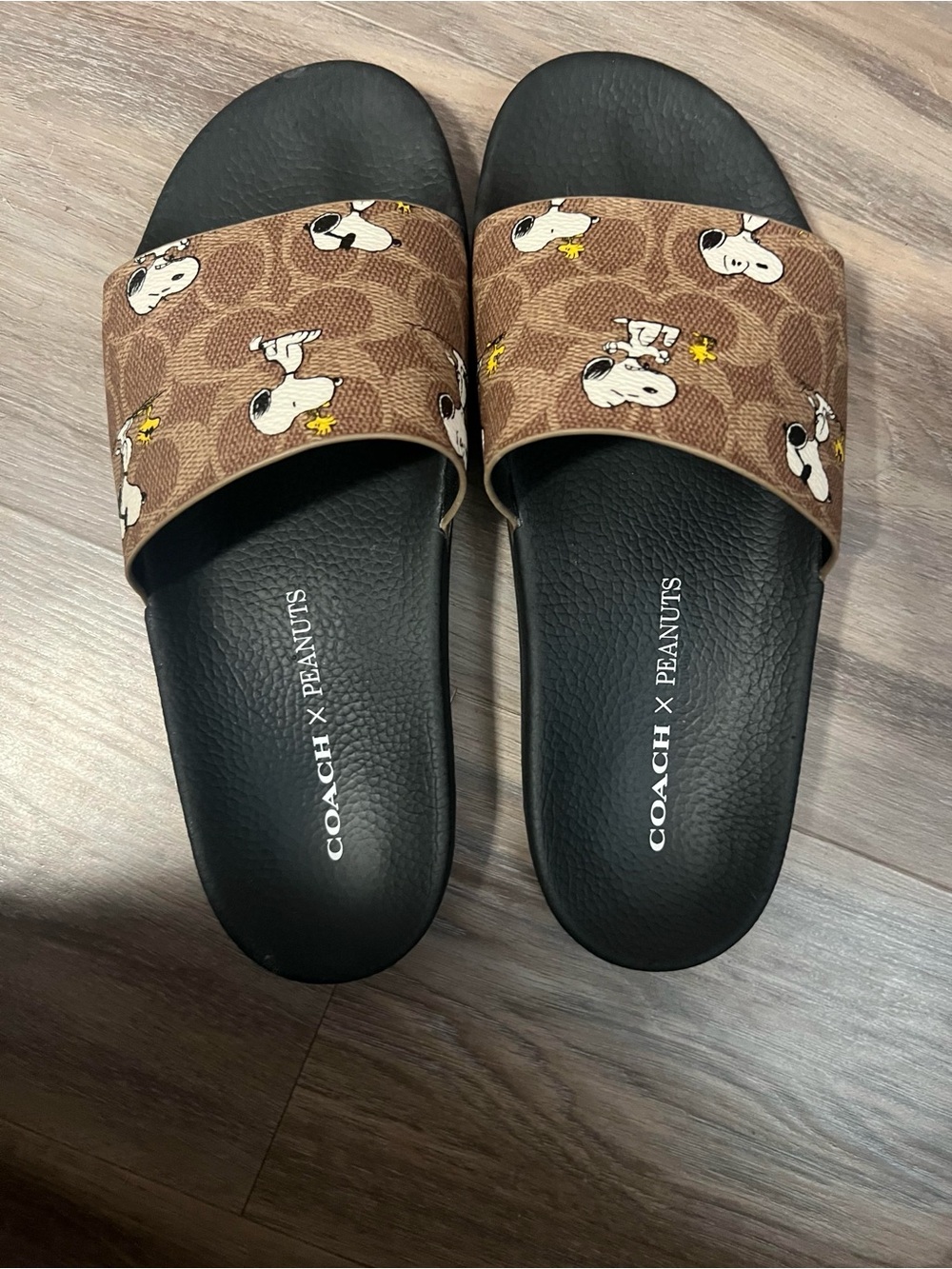 Coach X Peanuts Udele Sport Slide
In Signature Canvas With Snoopy Print